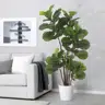 Faux Monstera Plant